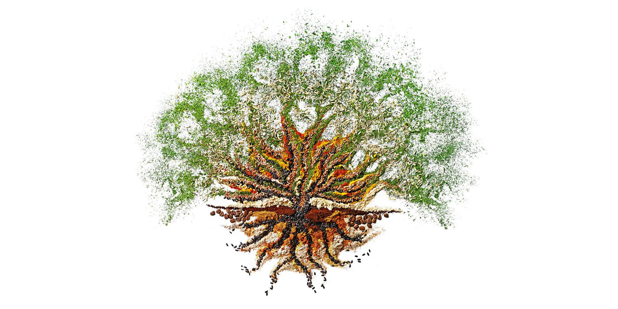 What is the tree of life? Zenbless